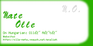 mate olle business card